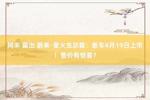 阿朱 露出 蔚来-萤火虫总裁：新车4月19日上市！售价有惊喜？