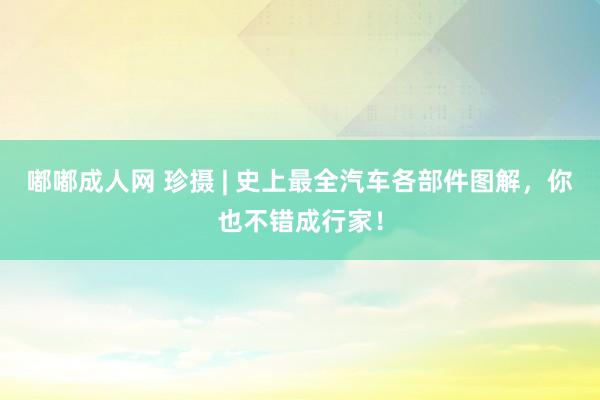 嘟嘟成人网 珍摄 | 史上最全汽车各部件图解，你也不错成行家！