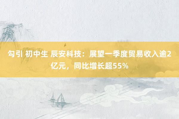 勾引 初中生 辰安科技：展望一季度贸易收入逾2亿元，同比增长超55%