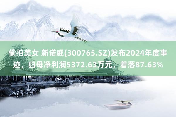偷拍美女 新诺威(300765.SZ)发布2024年度事迹，归母净利润5372.63万元，着落87.63%