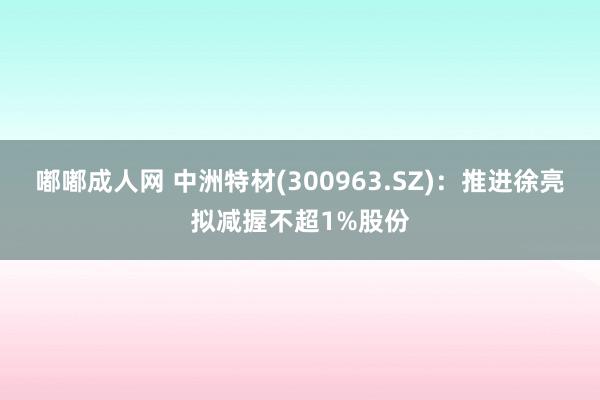 嘟嘟成人网 中洲特材(300963.SZ)：推进徐亮拟减握不超1%股份