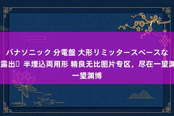 パナソニック 分電盤 大形リミッタースペースなし 露出・半埋込両用形 精良无比图片专区，尽在一望渊博