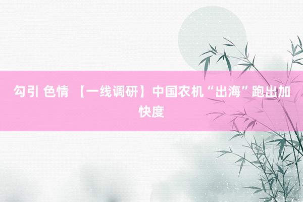 勾引 色情 【一线调研】中国农机“出海”跑出加快度