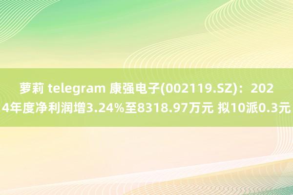萝莉 telegram 康强电子(002119.SZ)：2024年度净利润增3.24%至8318.97万元 拟10派0.3元