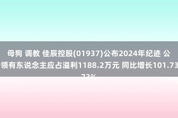 母狗 调教 佳辰控股(01937)公布2024年纪迹 公司领有东说念主应占溢利1188.2万元 同比增长101.73%