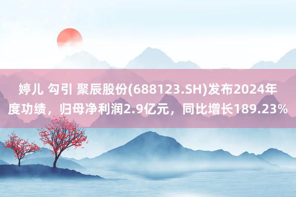 婷儿 勾引 聚辰股份(688123.SH)发布2024年度功绩，归母净利润2.9亿元，同比增长189.23%