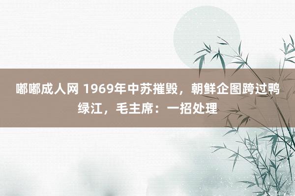 嘟嘟成人网 1969年中苏摧毁，朝鲜企图跨过鸭绿江，毛主席：一招处理