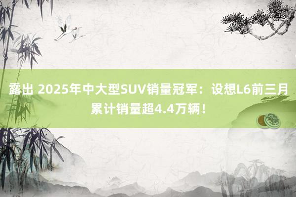 露出 2025年中大型SUV销量冠军：设想L6前三月累计销量超4.4万辆！