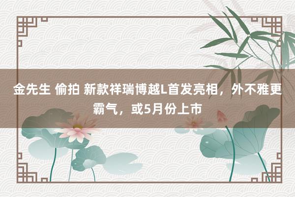 金先生 偷拍 新款祥瑞博越L首发亮相，外不雅更霸气，或5月份上市