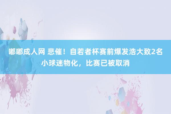 嘟嘟成人网 悲催！自若者杯赛前爆发浩大致2名小球迷物化，比赛已被取消