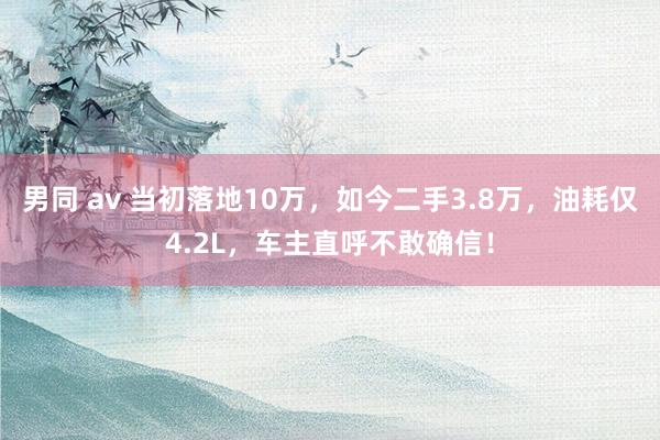 男同 av 当初落地10万，如今二手3.8万，油耗仅4.2L，车主直呼不敢确信！