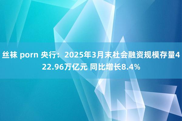 丝袜 porn 央行：2025年3月末社会融资规模存量422.96万亿元 同比增长8.4%