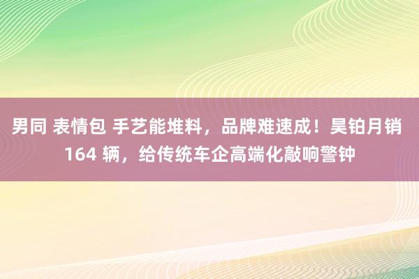 男同 表情包 手艺能堆料，品牌难速成！昊铂月销 164 辆，给传统车企高端化敲响警钟