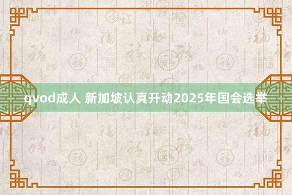 qvod成人 新加坡认真开动2025年国会选举