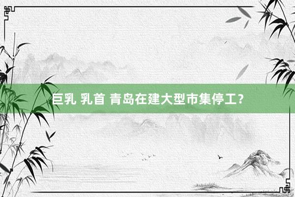 巨乳 乳首 青岛在建大型市集停工？