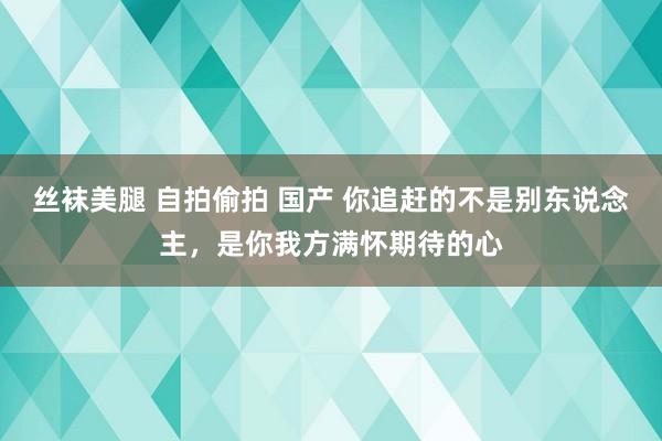丝袜美腿 自拍偷拍 国产 你追赶的不是别东说念主，是你我方满怀期待的心
