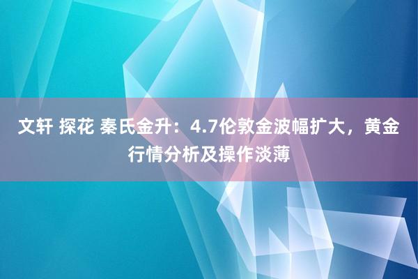 文轩 探花 秦氏金升：4.7伦敦金波幅扩大，黄金行情分析及操作淡薄