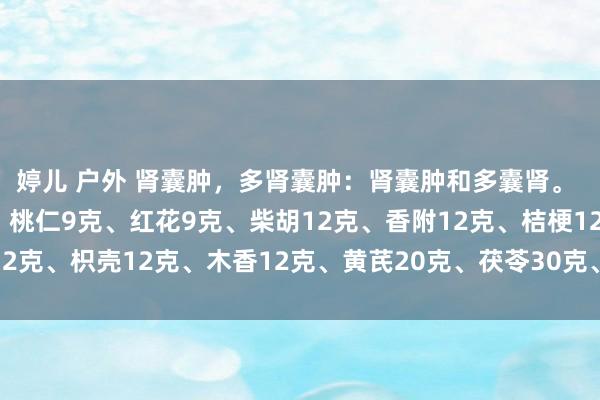 婷儿 户外 肾囊肿，多肾囊肿：肾囊肿和多囊肾。 陈皮9克、法半夏9克、桃仁9克、红花9克、柴胡12克、香附12克、桔梗12克、枳壳12克、木香12克、黄芪20克、茯苓30克、泽泻12克、苍术12克。