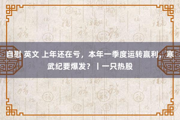 自慰 英文 上年还在亏，本年一季度运转赢利，寒武纪要爆发？丨一只热股