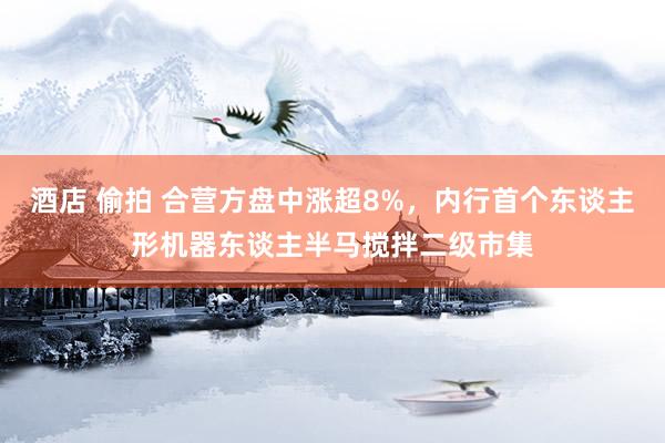 酒店 偷拍 合营方盘中涨超8%，内行首个东谈主形机器东谈主半马搅拌二级市集