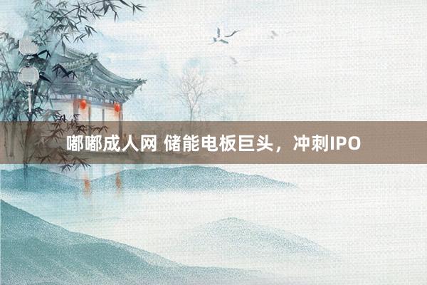嘟嘟成人网 储能电板巨头，冲刺IPO