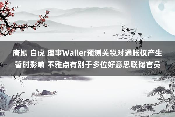 唐嫣 白虎 理事Waller预测关税对通胀仅产生暂时影响 不雅点有别于多位好意思联储官员