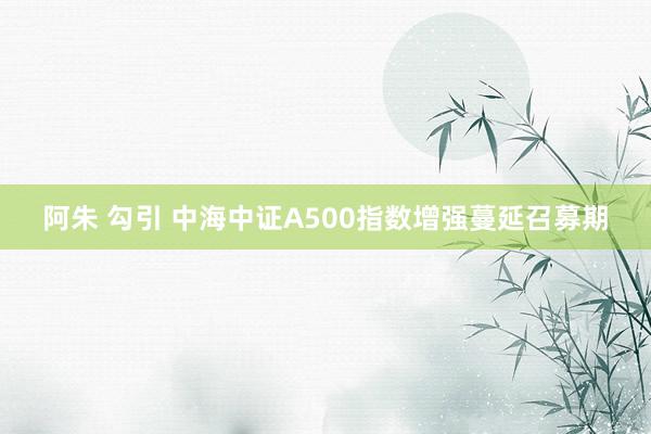 阿朱 勾引 中海中证A500指数增强蔓延召募期