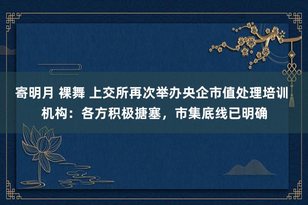 寄明月 裸舞 上交所再次举办央企市值处理培训 机构：各方积极搪塞，市集底线已明确