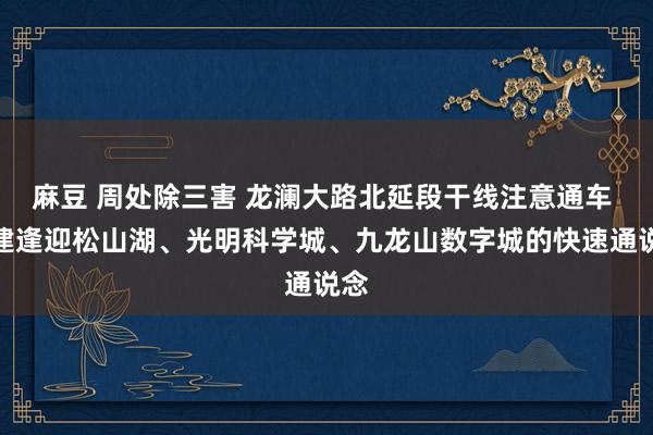 麻豆 周处除三害 龙澜大路北延段干线注意通车 构建逢迎松山湖、光明科学城、九龙山数字城的快速通说念
