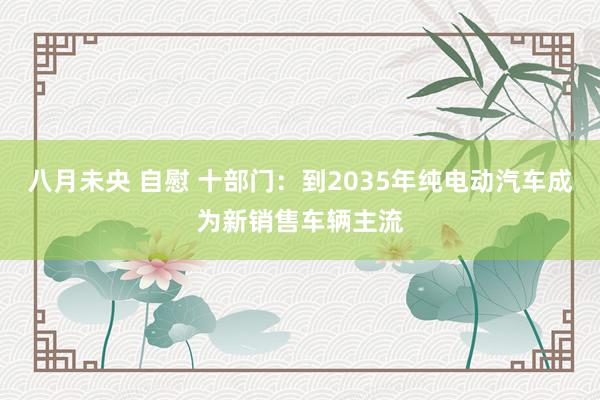 八月未央 自慰 十部门：到2035年纯电动汽车成为新销售车辆主流